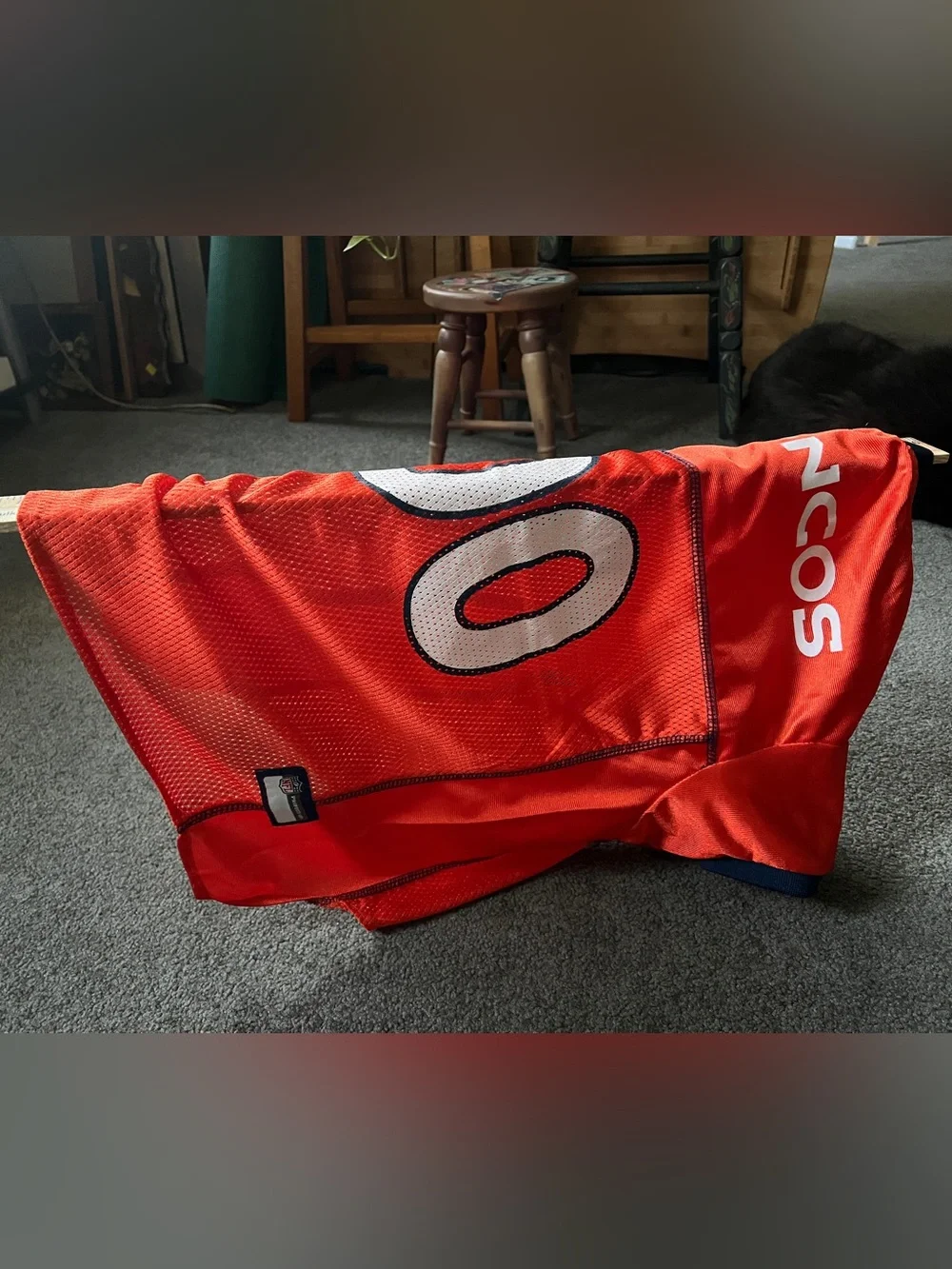 Broncos Dog jersey
